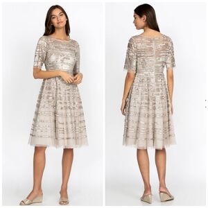 NWT Johnny Was Champagne Beaded Mesh Dress Size 8